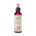 Bach Flower Remedies buy online at Wicked NRG Australia