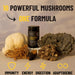 Evolution Botanicals 10 Mushroom Formula Is stocked at WickedNRG in Darwin,