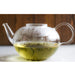 Sencha green tea offers numerous health benefits, Sencha Green Tea Wicked NRG Darwin